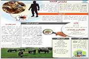  تب خونریزی دهنده کریمه کنگو بیماری مشترک بین حیوان و انسان